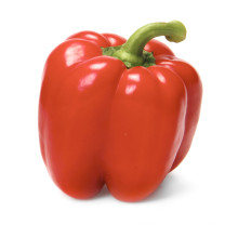 2021 New Harvest Export Natural Hot Selling Good Chinese Fresh Bell Pepper